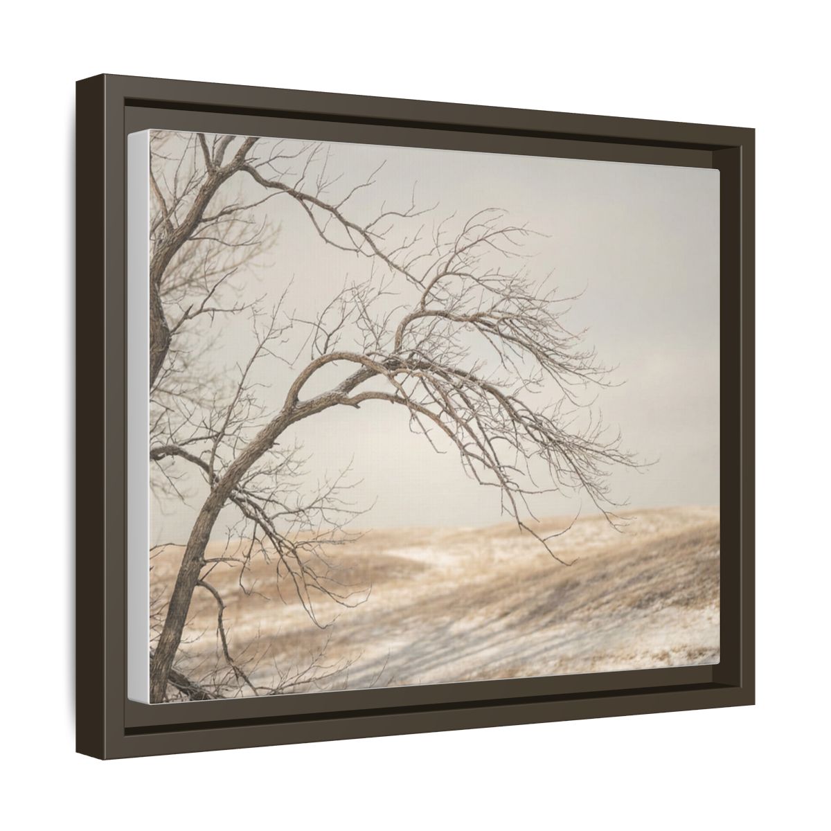 Framed Canvas Art - Minimalist Winter — Espresso / 1.25"
