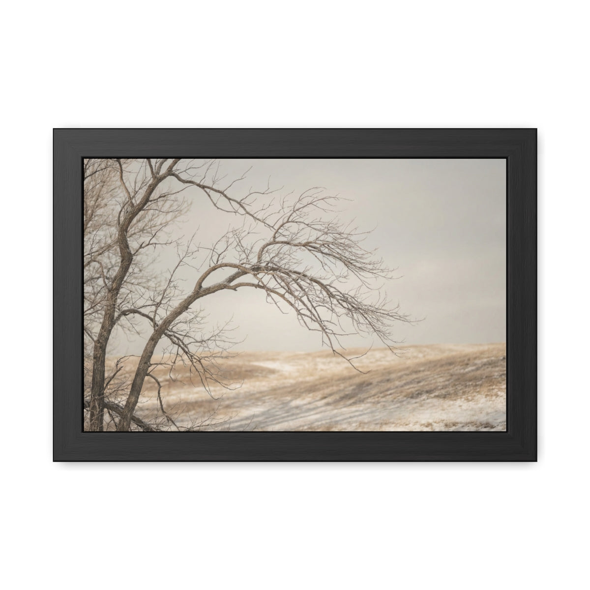 Framed Poster - Minimalist Winter Tree — Landscape