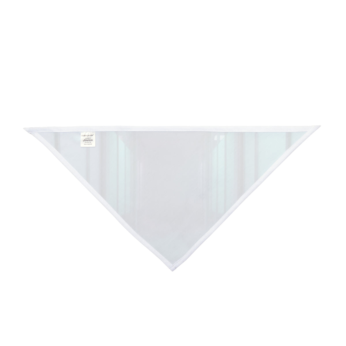 Pet Bandana - Liminal Corridor Fog Art Print | Echovira...