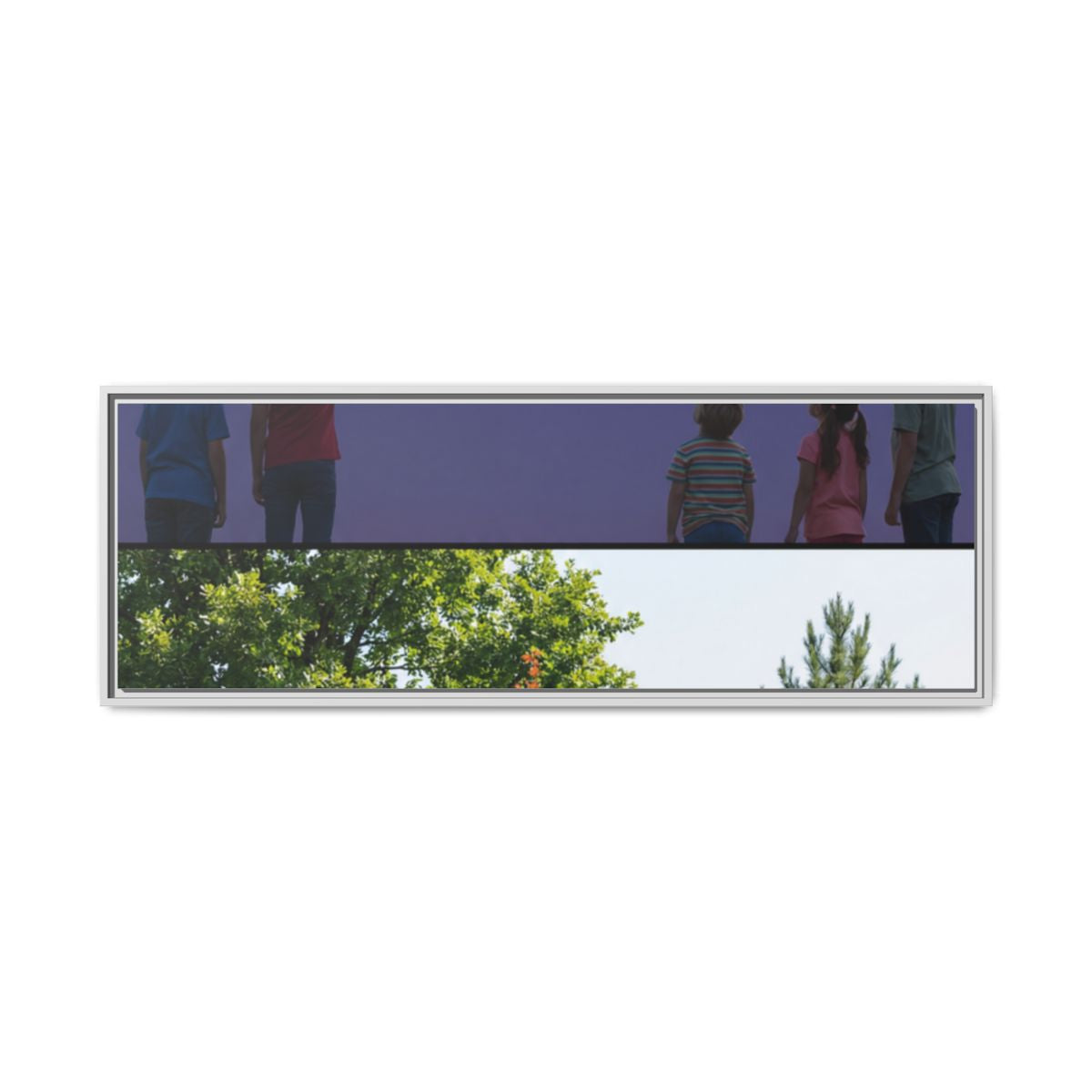Framed Matte Canvas - Discovery — White / 1.25"