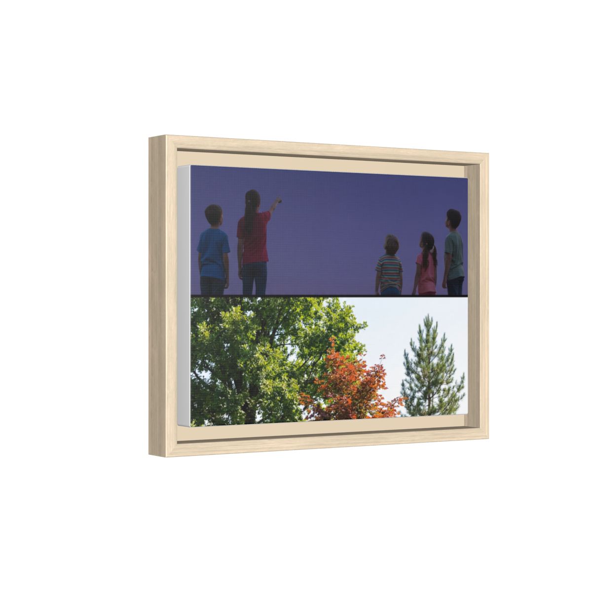 Framed Matte Canvas - Wilderness Gallery