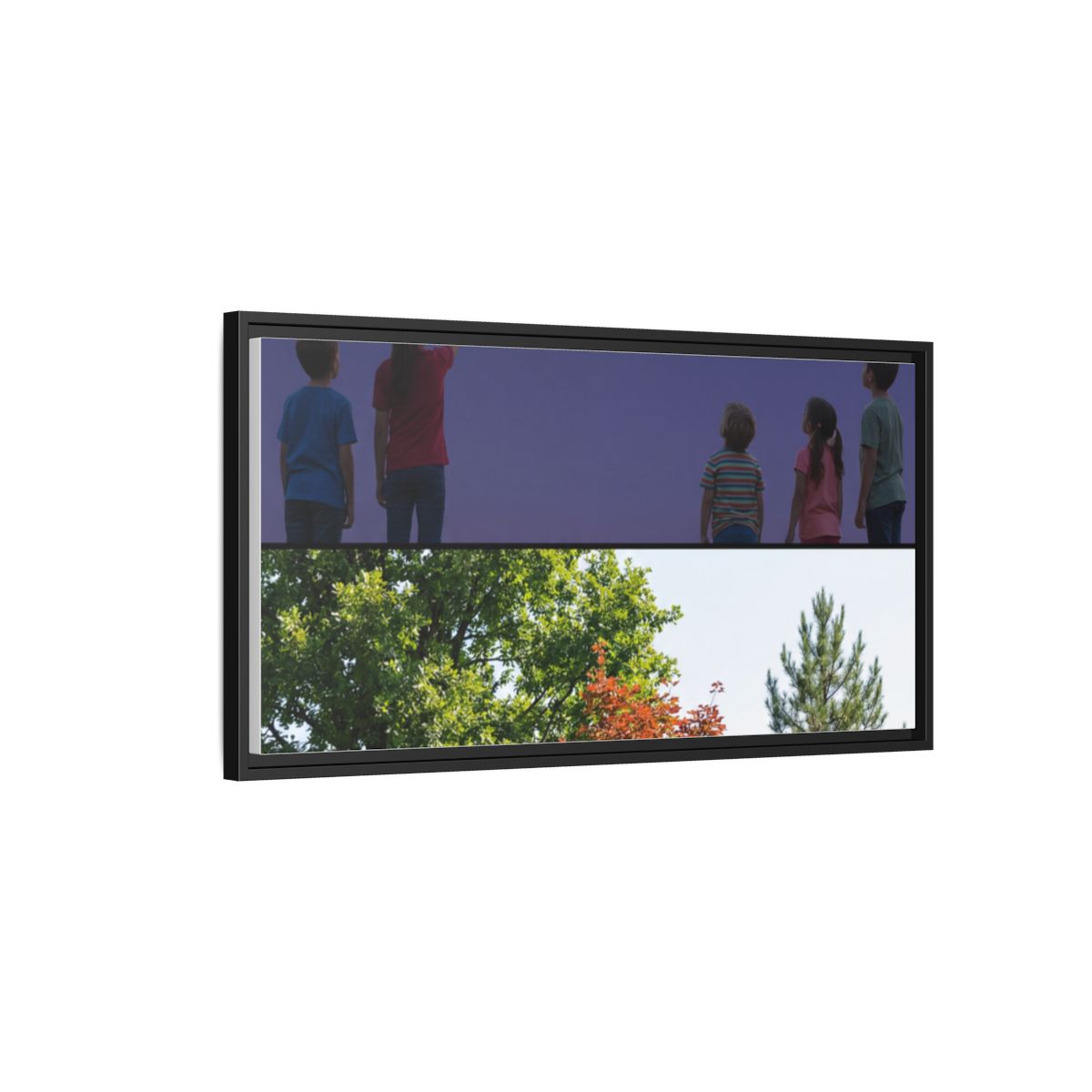 Framed Matte Canvas - Wilderness Gallery — Black / 1.25"