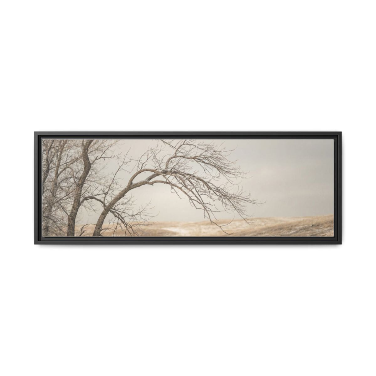 Framed Canvas Art - Minimalist Winter — Black / 1.25"