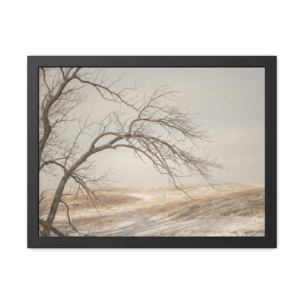 Framed Poster - Minimalist Winter Tree — Landscape