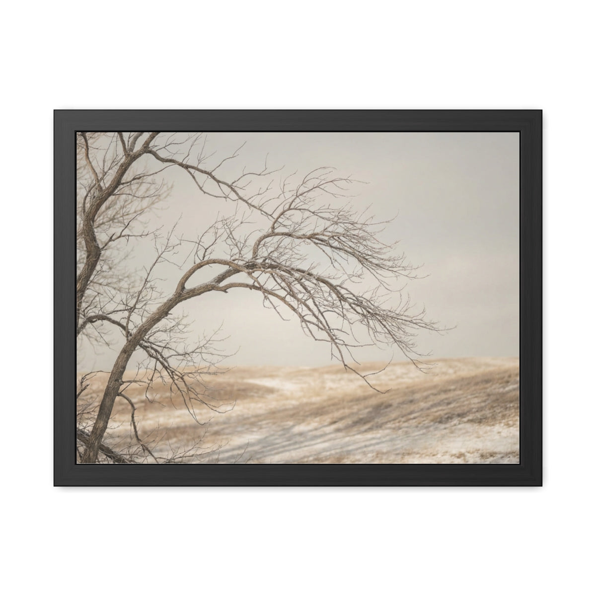 Framed Poster - Minimalist Winter Tree — Landscape