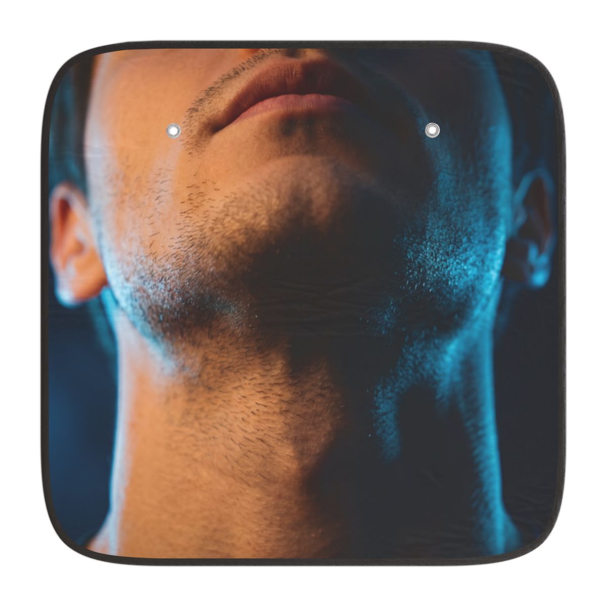 Car Sun Shades - Cyberpunk Drive