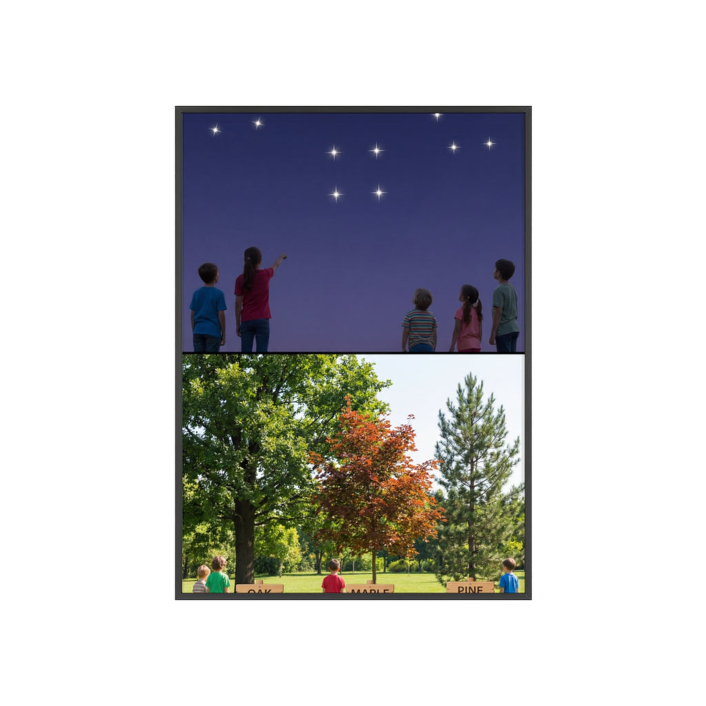 Wooden Framed Poster - Wonder — Portrait