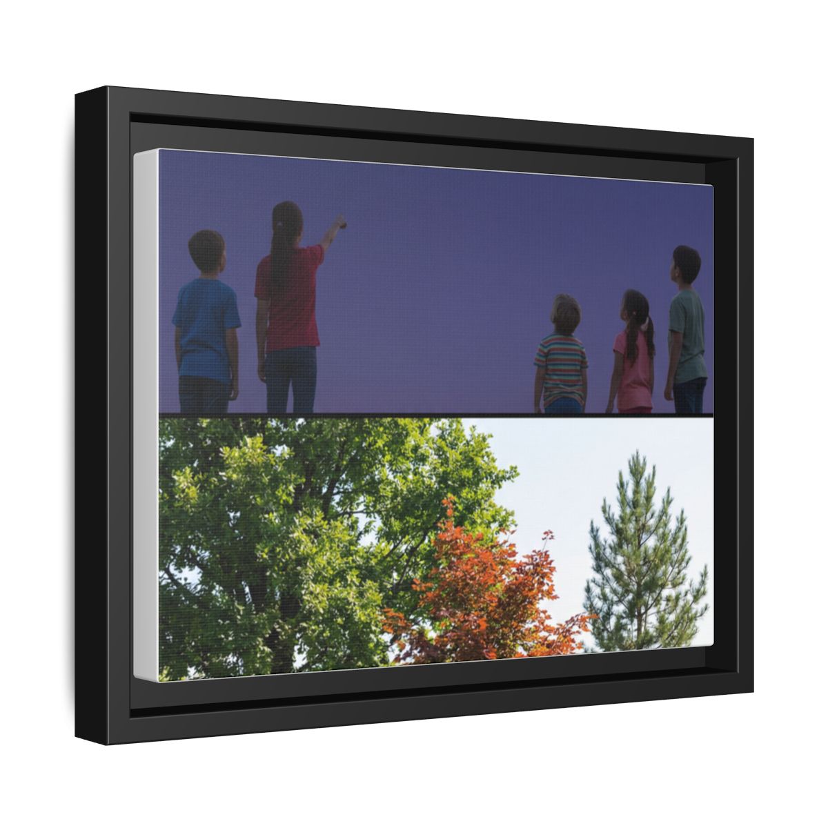 Framed Matte Canvas - Wilderness Gallery
