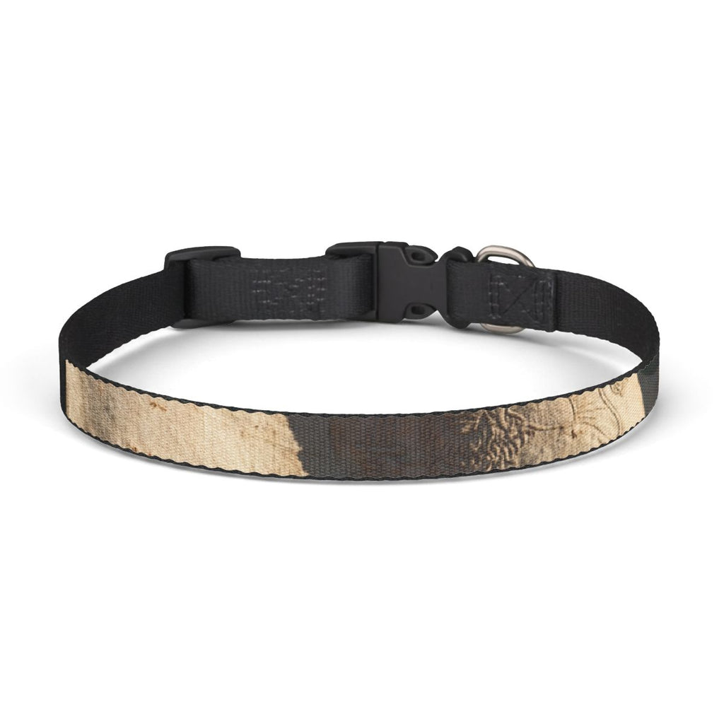 Pet Collar - Vintage Lion & Sun