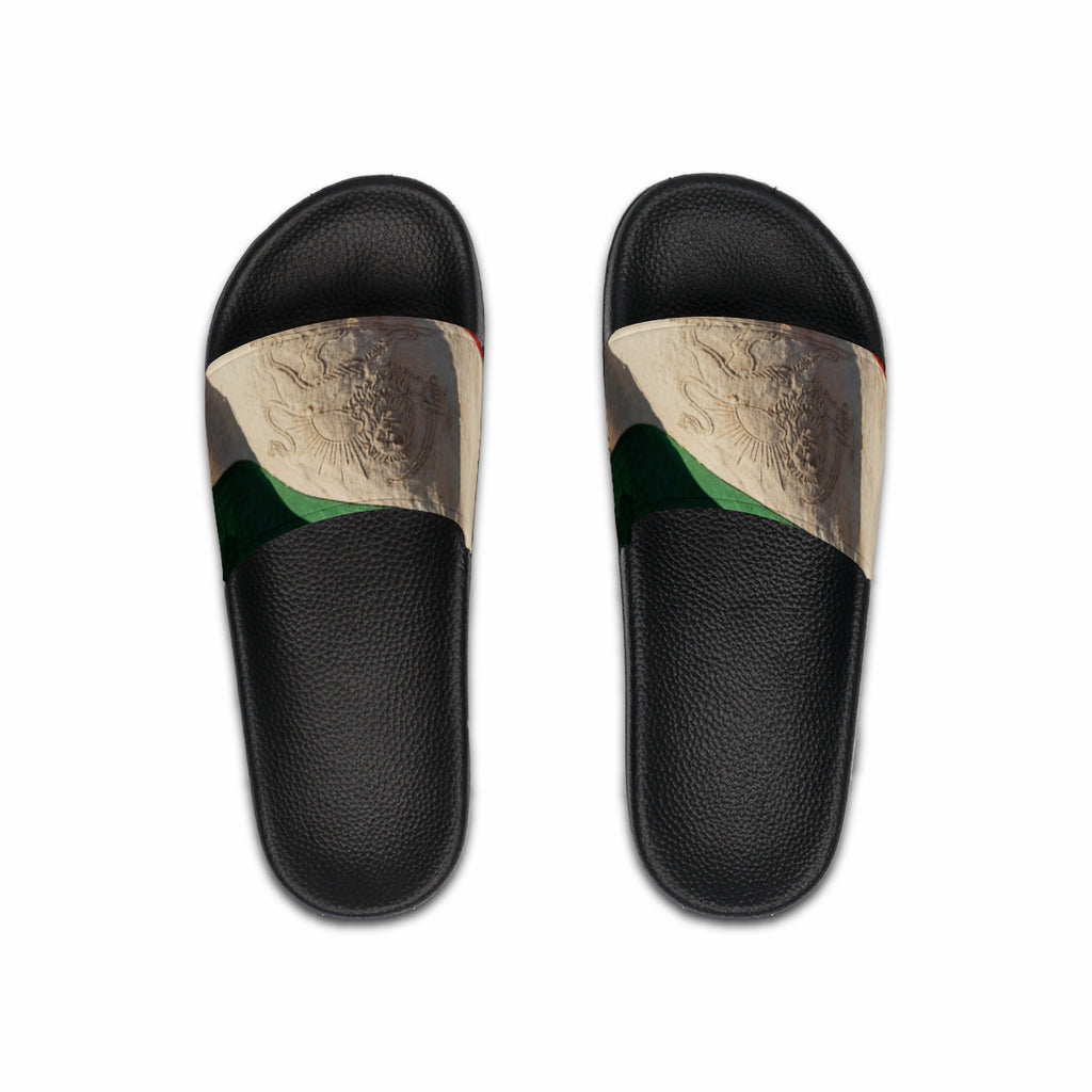 Men's Slide Sandals - Vintage Persian Lion and Sun Flag Art...