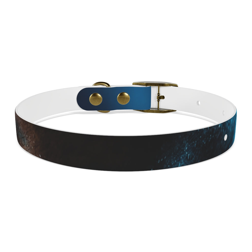 Dog Collar - Neon Noir Stride