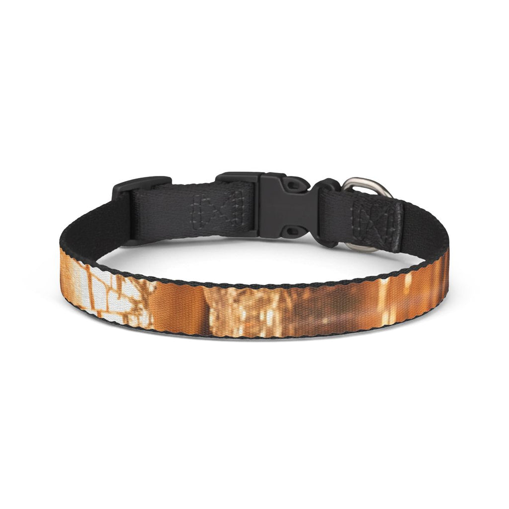 Clip-on Pet Collar - Shattered Light