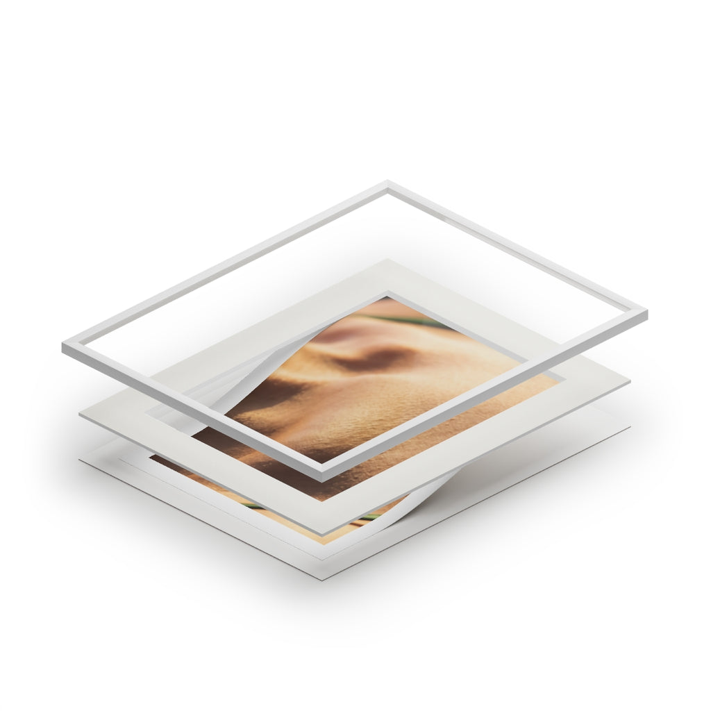 Golden Hour Fine Art Print - Emerald Sunset Frame —... |...