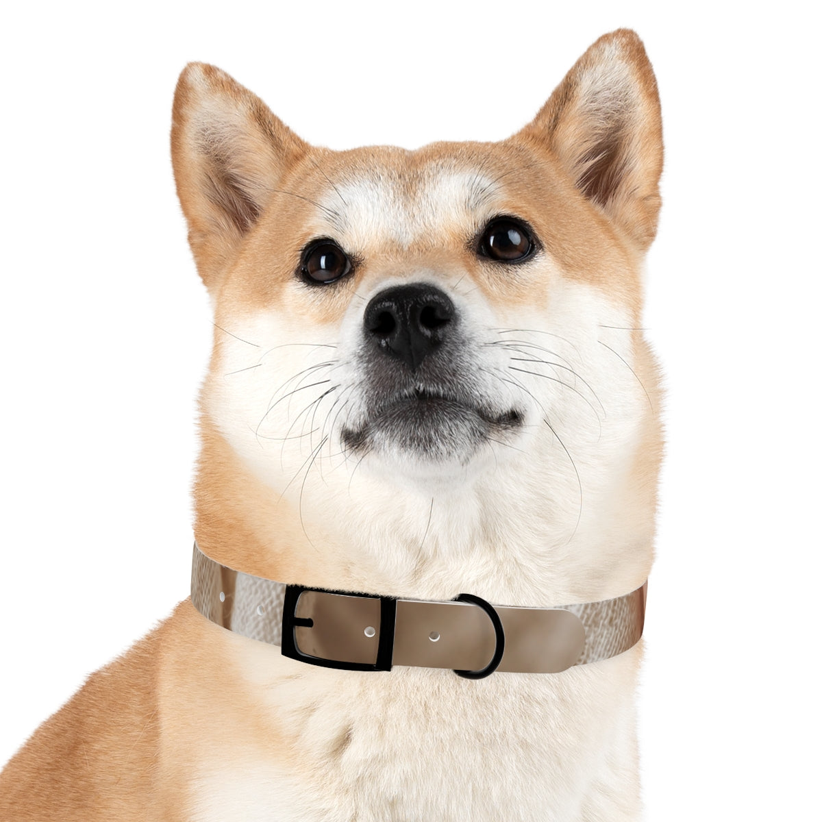 Dog Collar - Earth Toned Pet Style