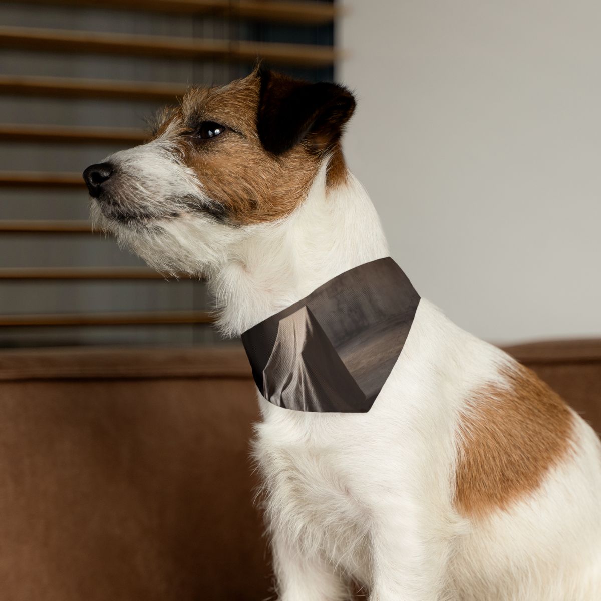 Pet Bandana Collar - Conceptual Canine