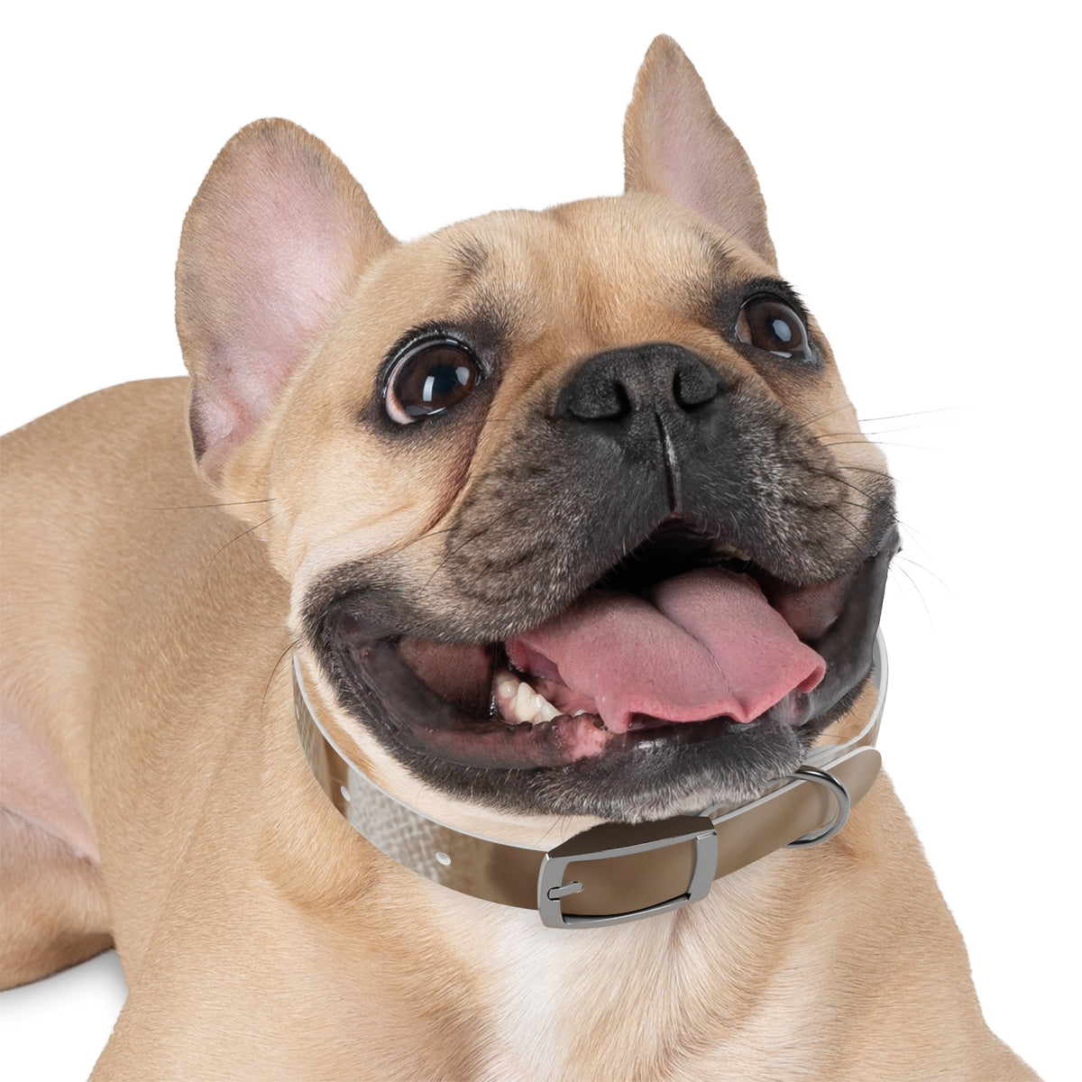 Dog Collar - Earth Toned Pet Style