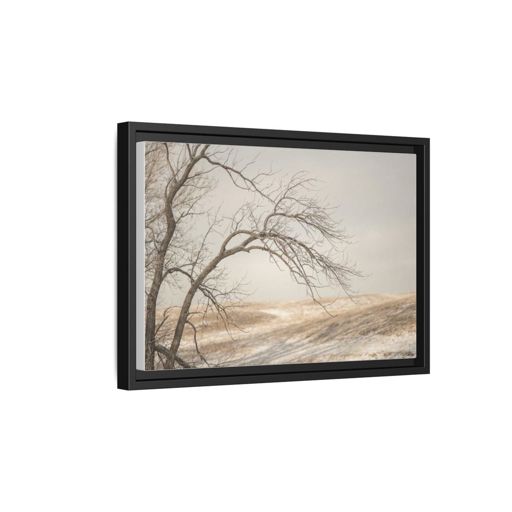 Framed Canvas Art - Minimalist Winter — Black / 1.25"