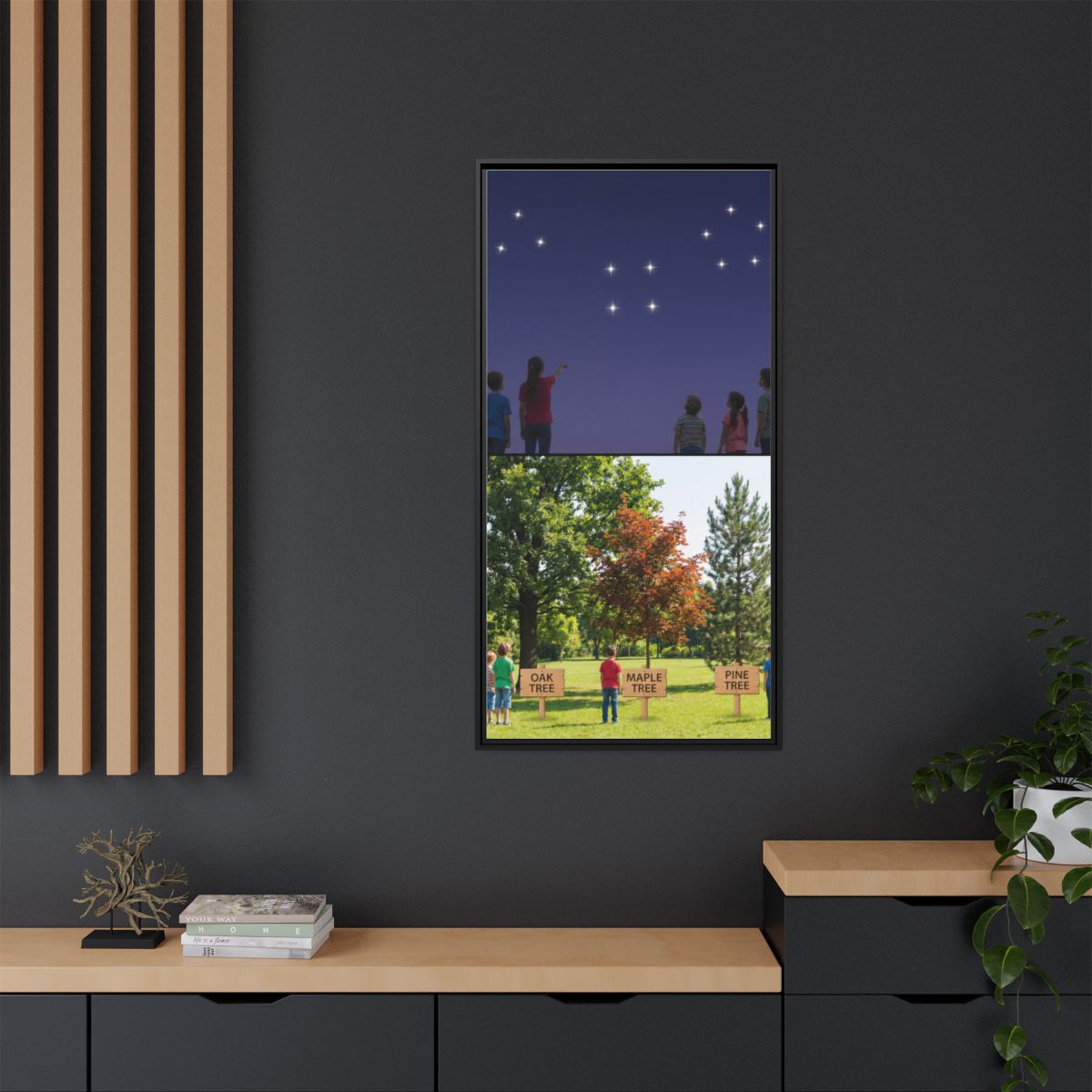 Framed Matte Canvas - Discovery — Black / 1.25"