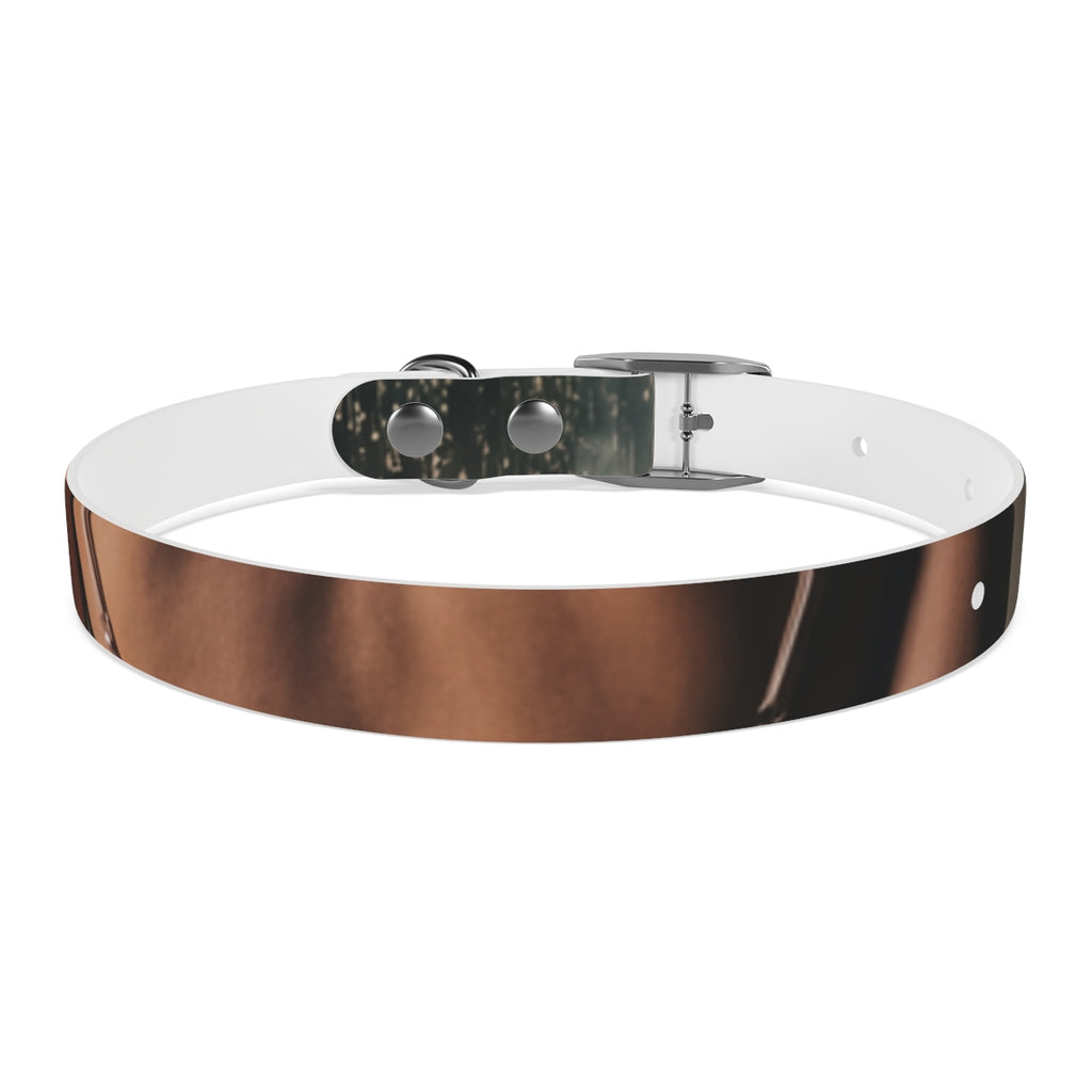 Dog Collar - Midnight Glow Style