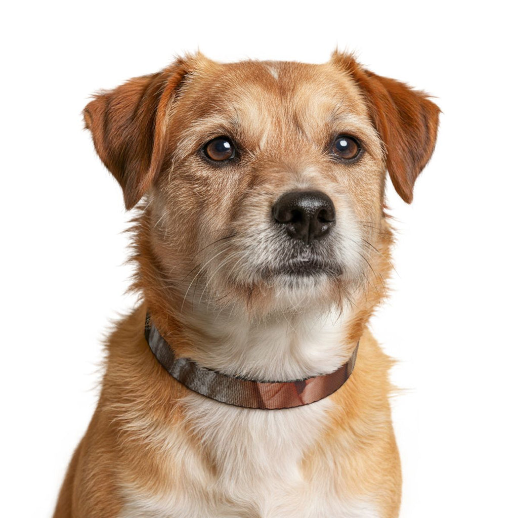 Clip-on Pet Collar - Boho Minimalist