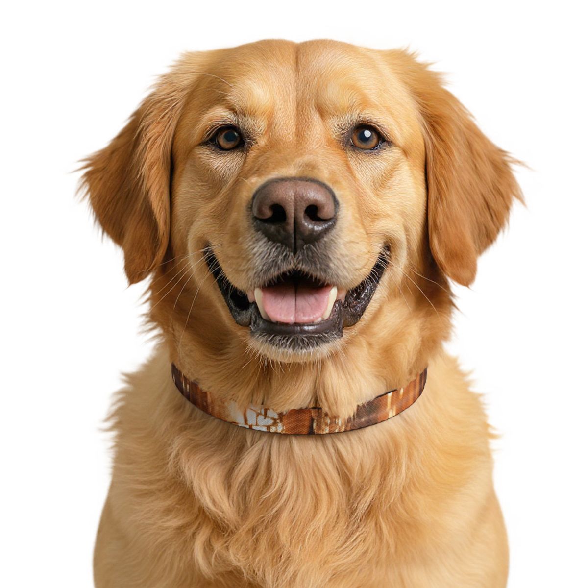 Clip-on Pet Collar - Shattered Light