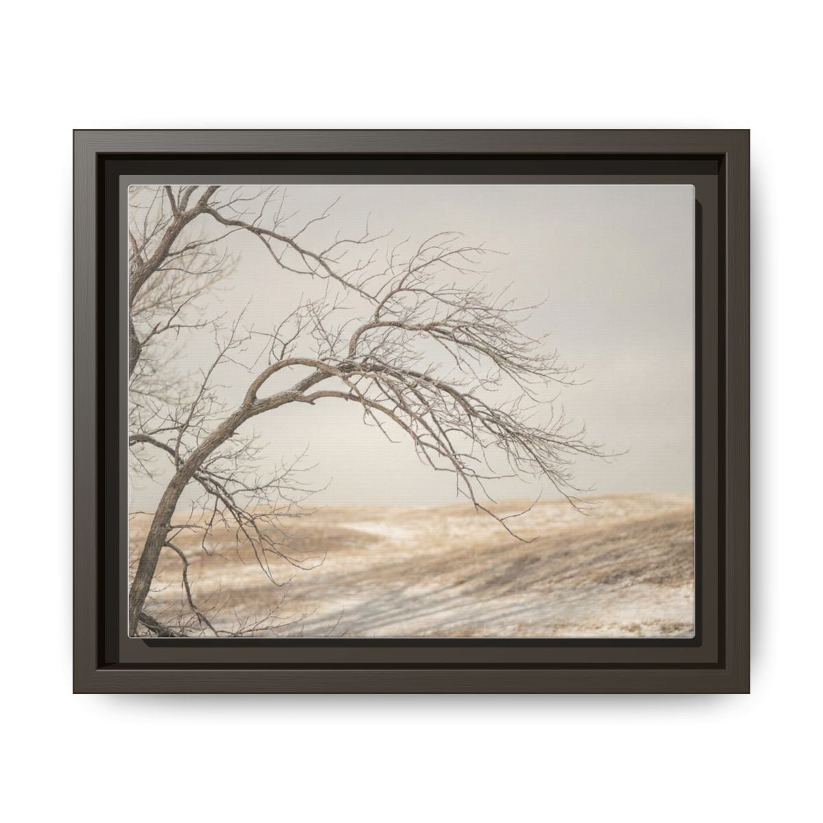 Framed Canvas Art - Minimalist Winter — Espresso / 1.25"