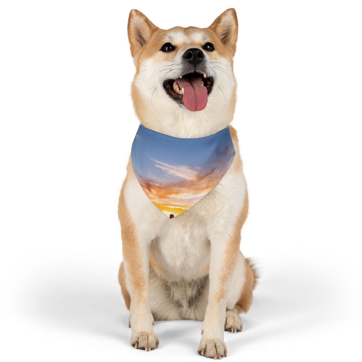 Pet Bandana Collar - Epic Dawn Trek