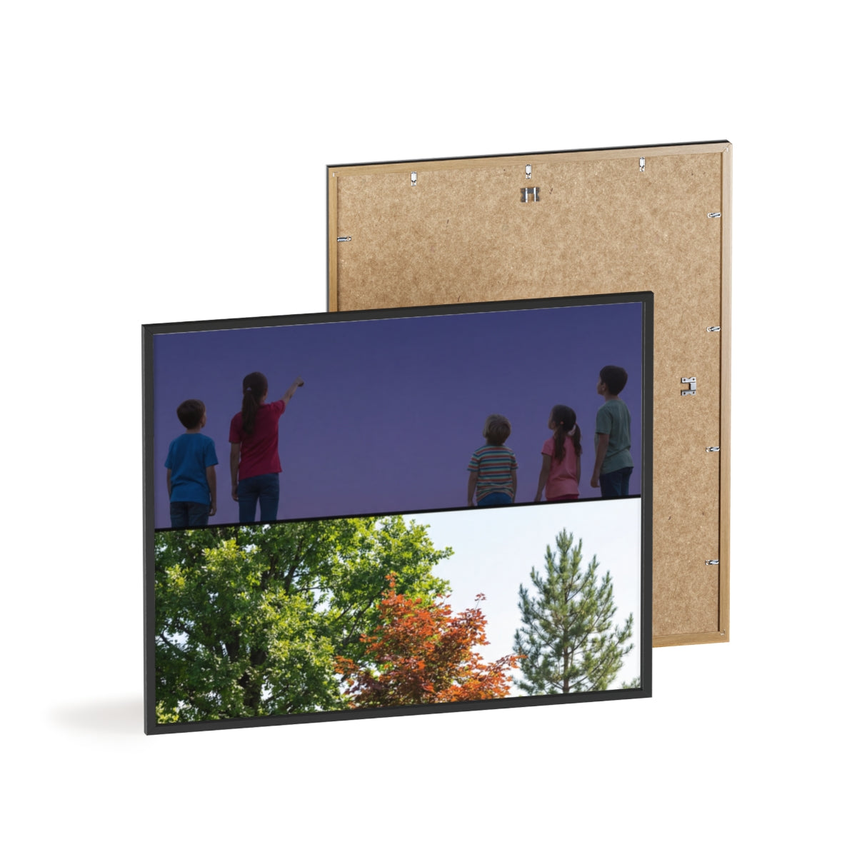 Posters with Wooden Frame - Woodland Explorer