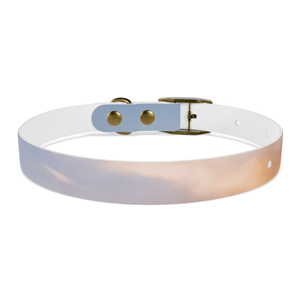 Dog Collar - Trail Companion