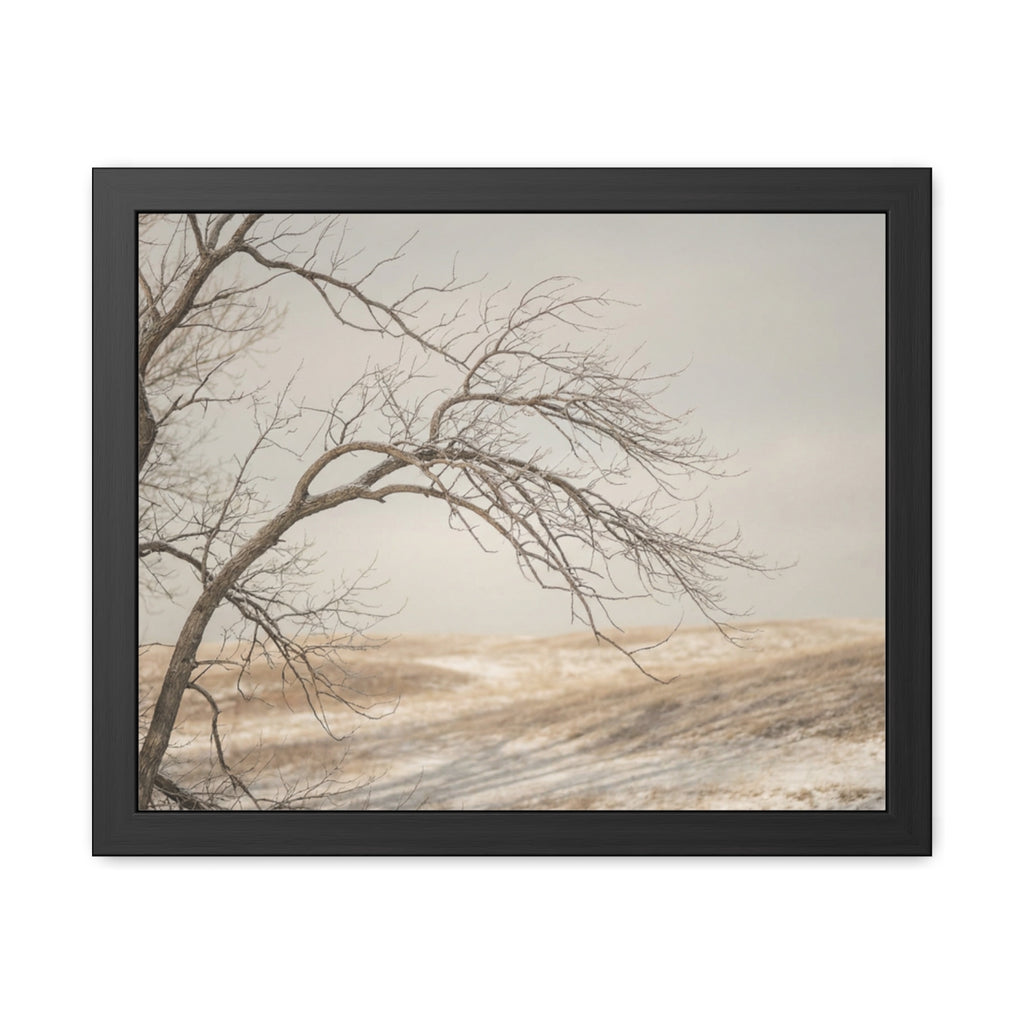 Framed Poster - Minimalist Winter Tree — Landscape