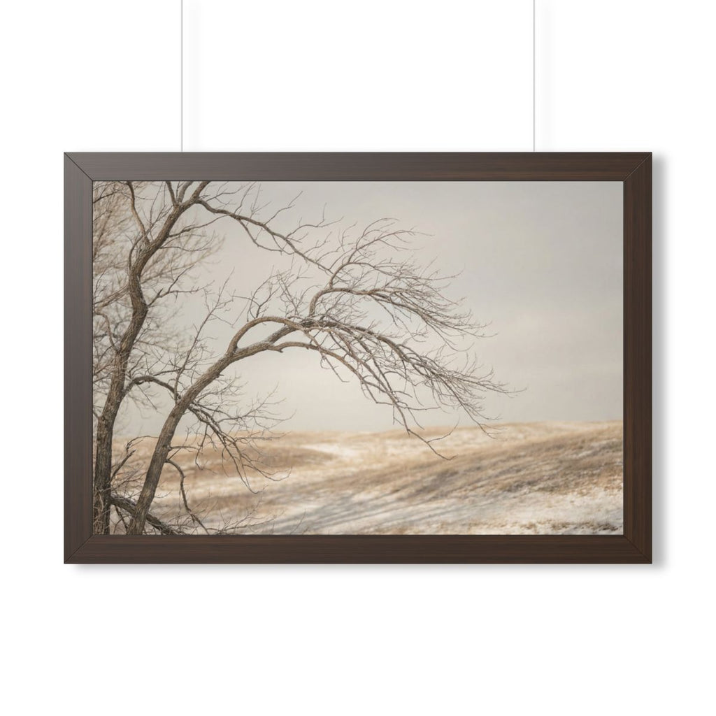 Framed Horizontal Poster - Winter Branch Solitude Landscape...