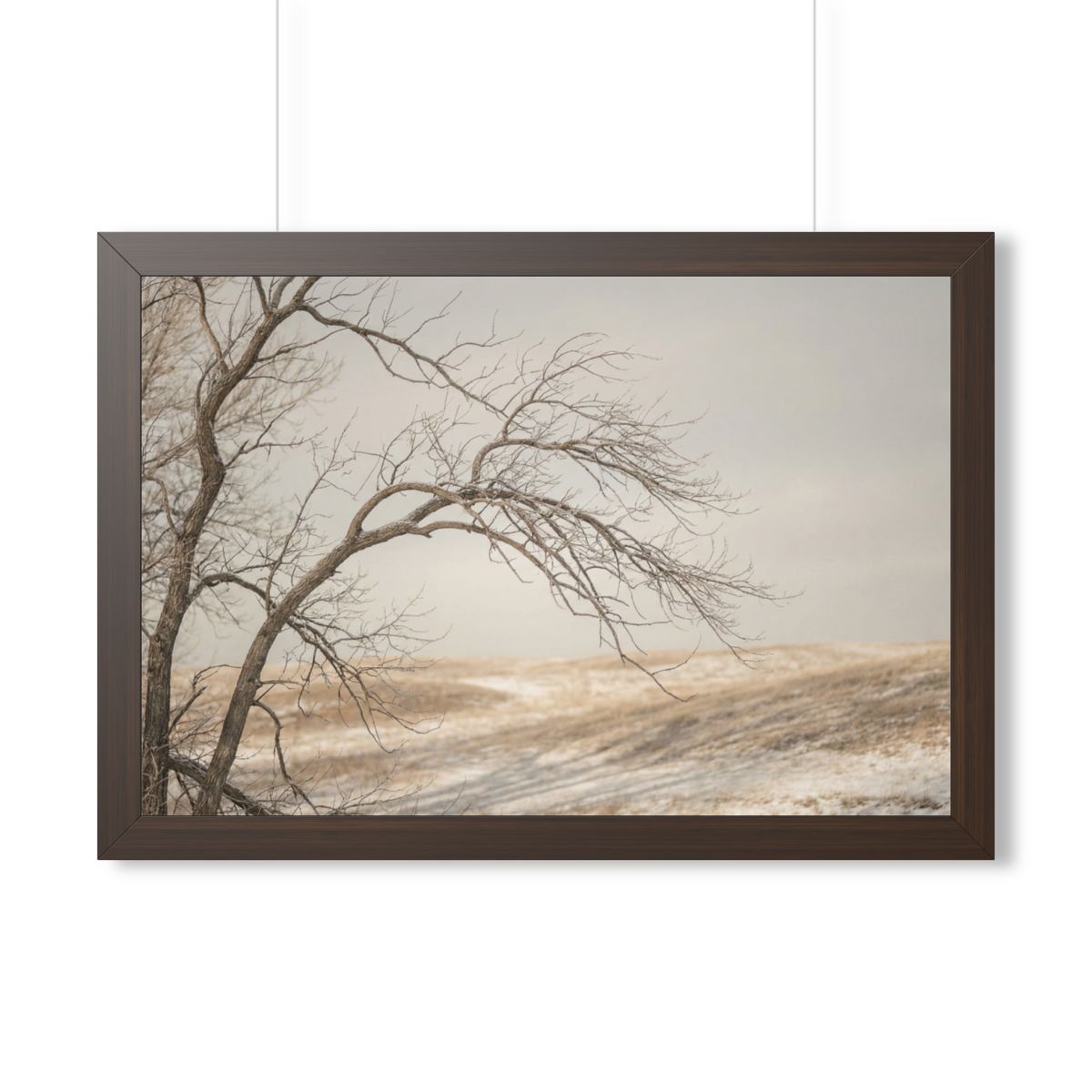 Framed Horizontal Poster - Winter Branch Solitude Landscape...