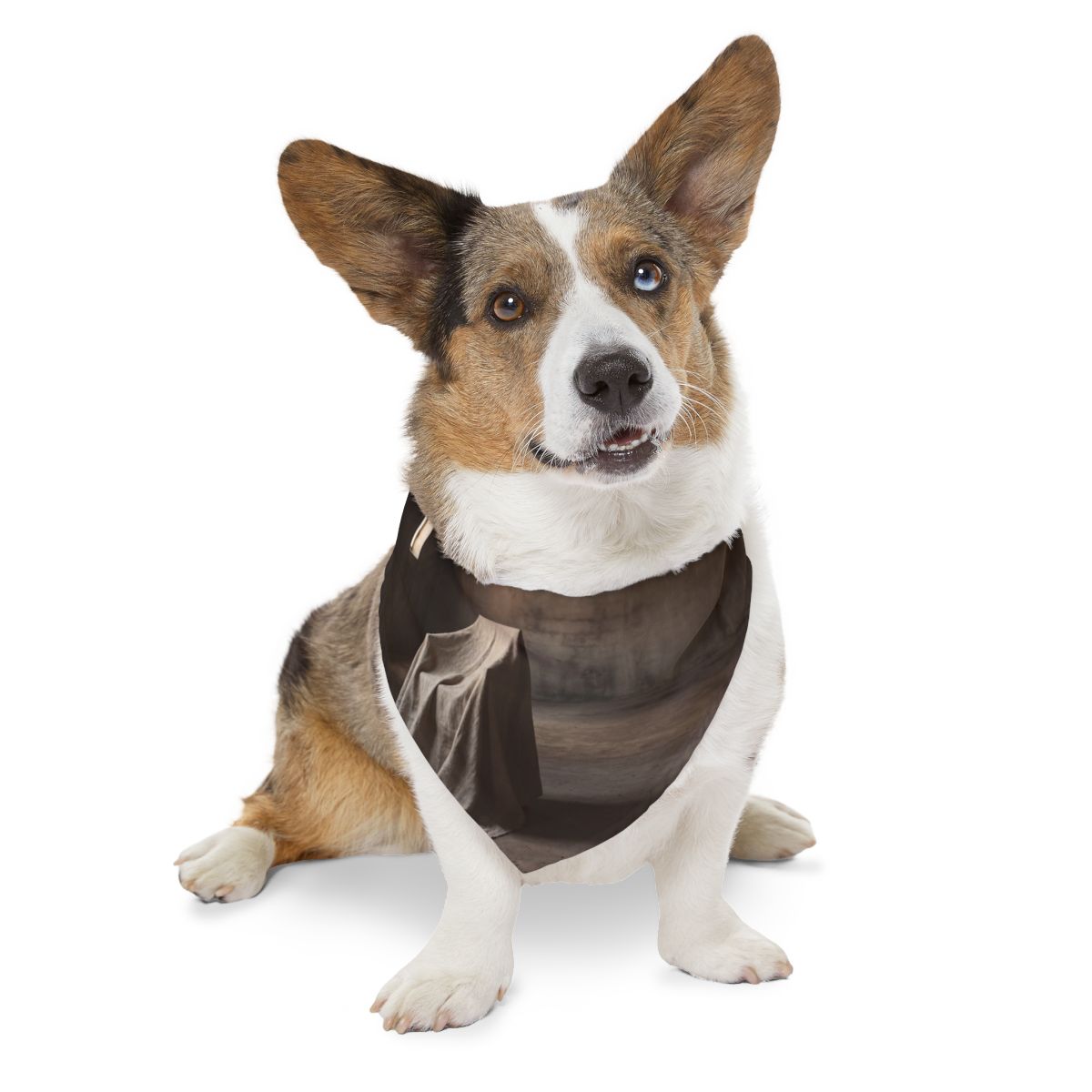 Pet Bandana Collar - Conceptual Canine