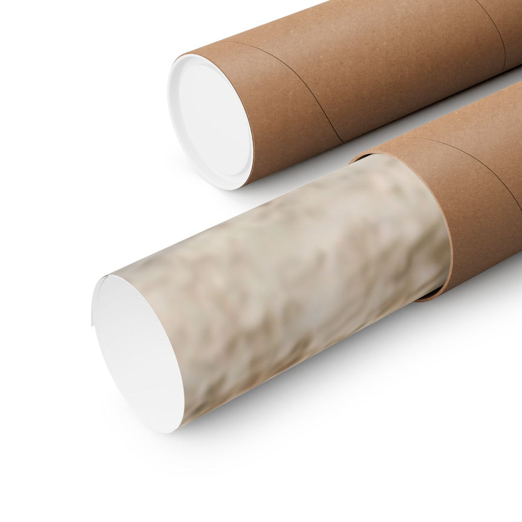 Matte Horizontal Posters - Winter Branch Solitude Landscape (10×8 & 54×36)