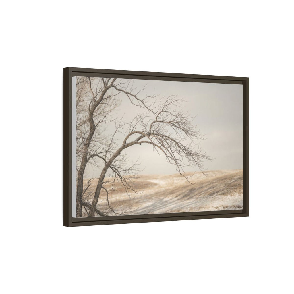 Framed Canvas Art - Minimalist Winter — Espresso / 1.25"