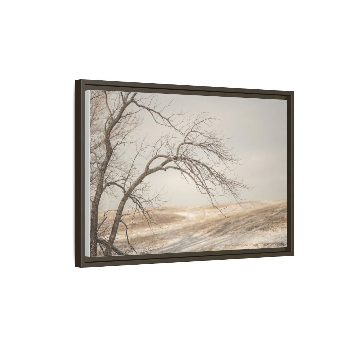 Framed Canvas Art - Minimalist Winter — Espresso / 1.25"