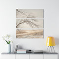 Acrylic Triptych Prints - Quiet Snow — Landscape
