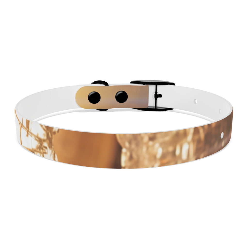 Dog Collar - Shattered Light Aesthetic