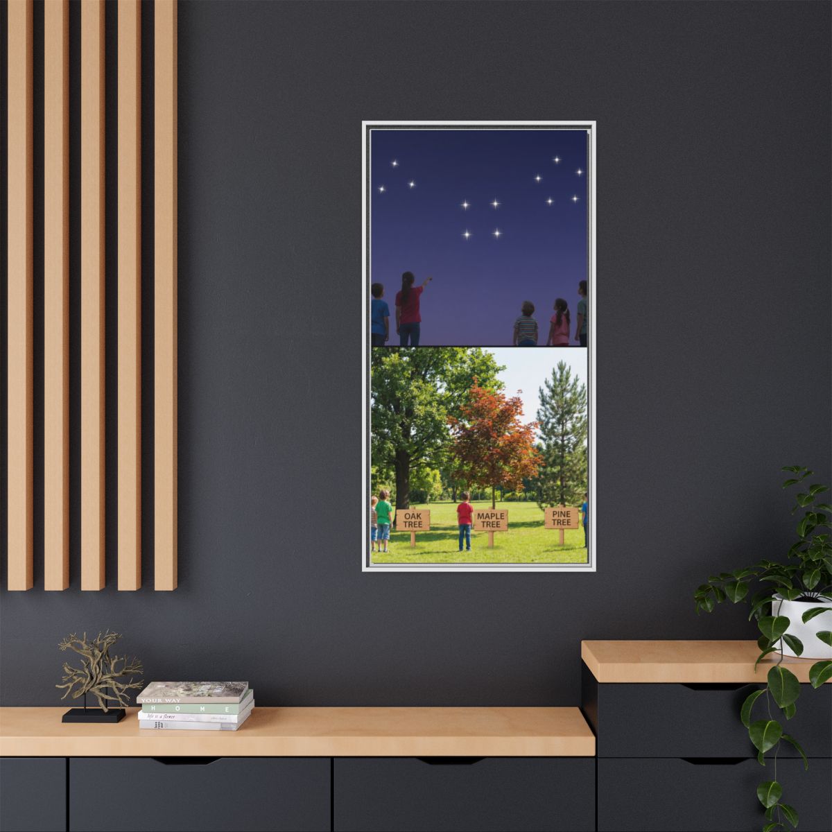 Framed Matte Canvas - Discovery — White / 1.25"