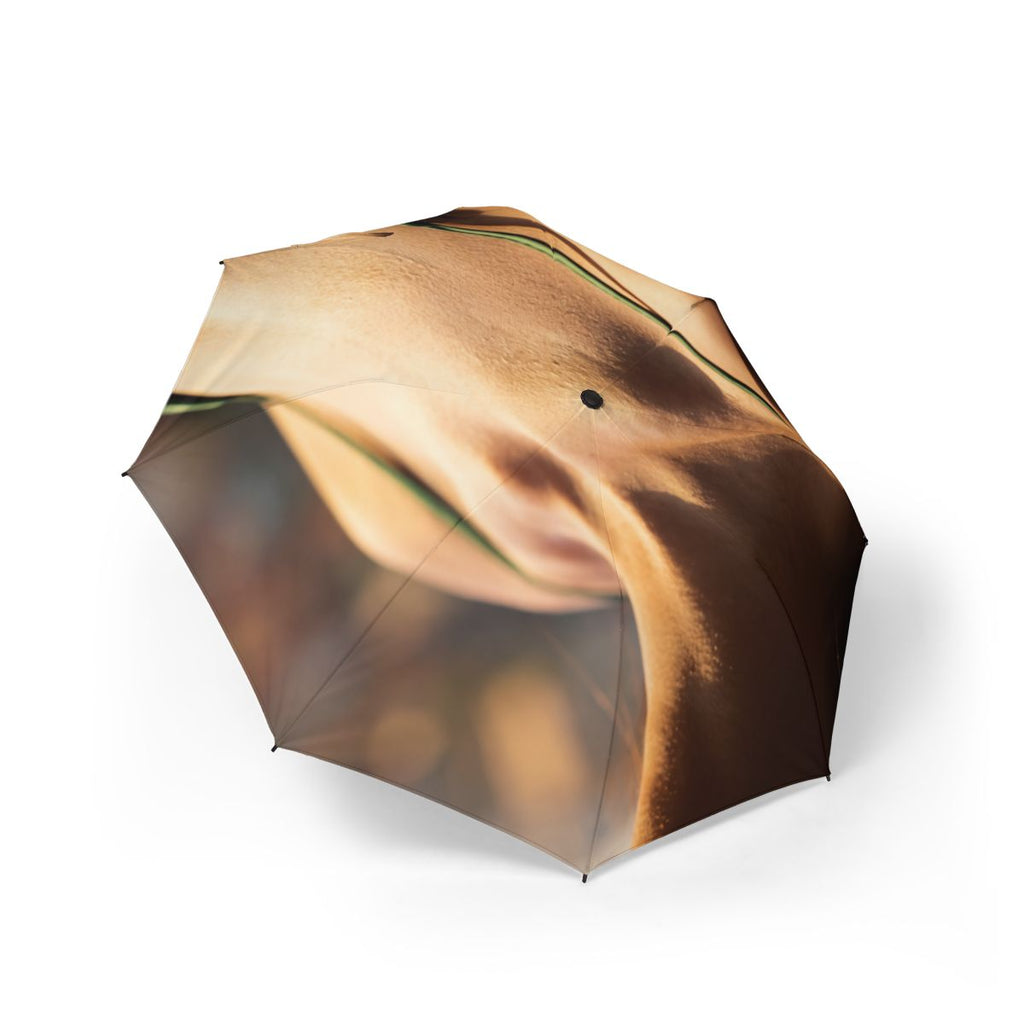 Foldable Umbrella - Sunlit Rainy Days
