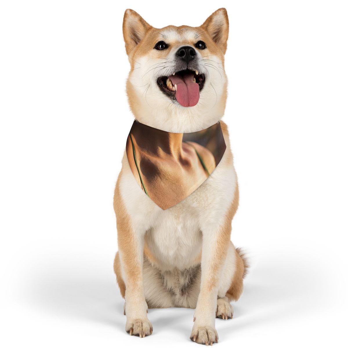 Pet Bandana Collar - Golden Hour Walk