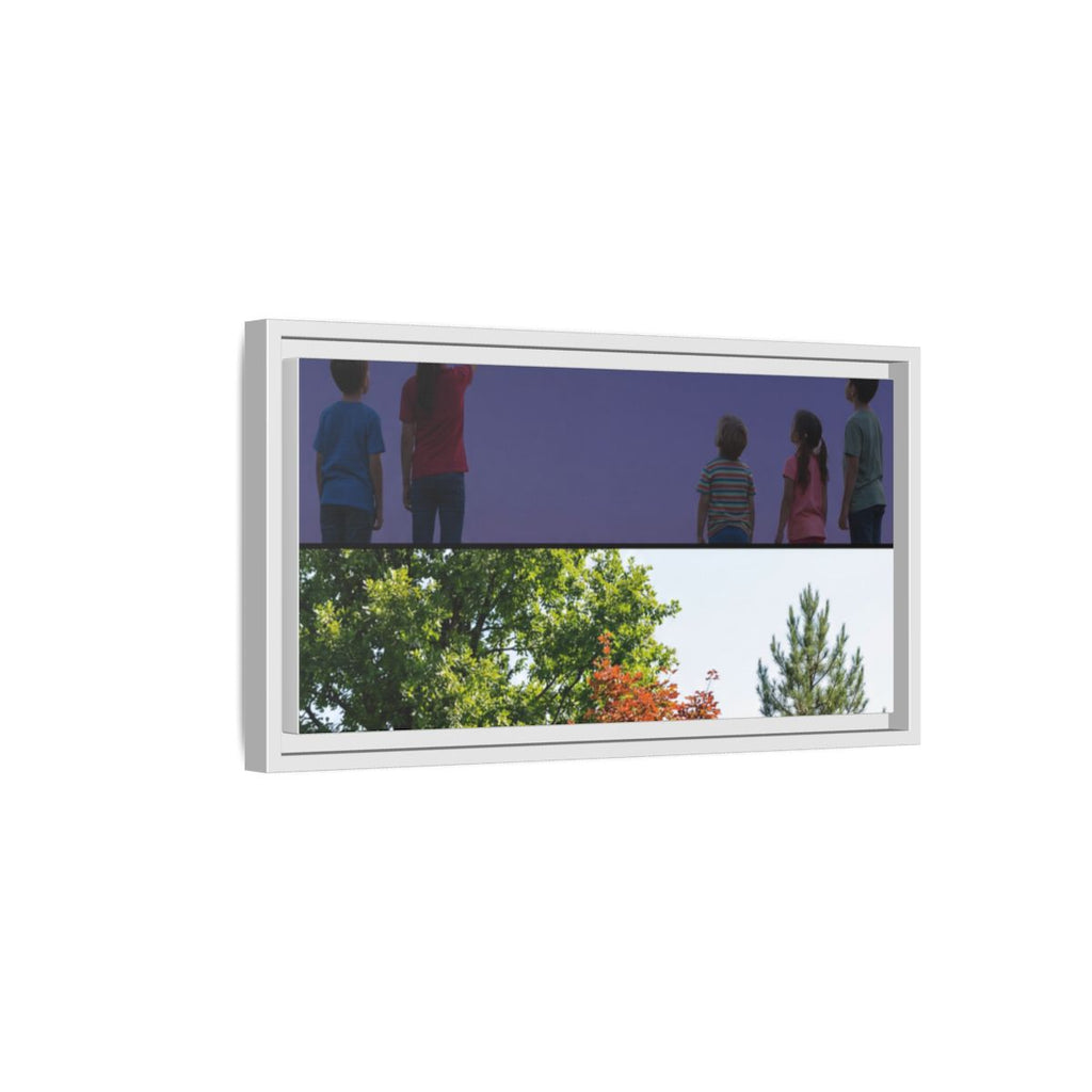 Framed Matte Canvas - Discovery — White / 1.25"
