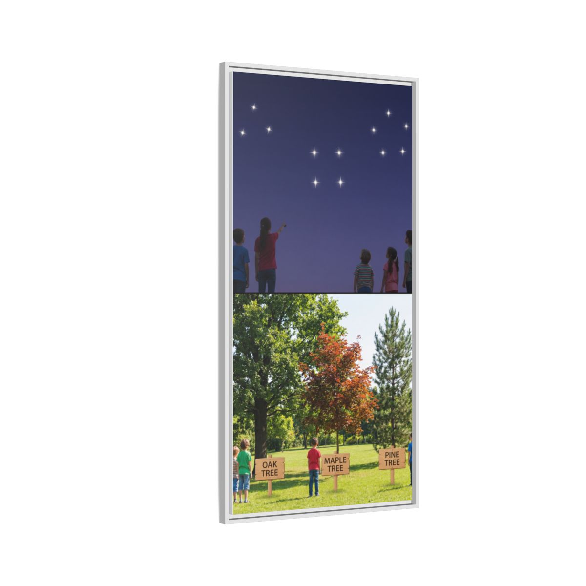 Framed Matte Canvas - Discovery — White / 1.25"