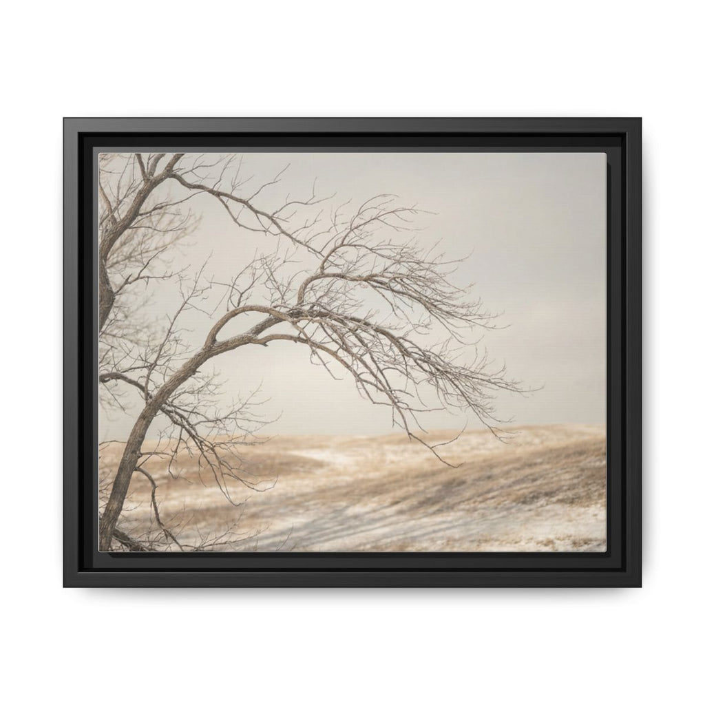 Framed Canvas Art - Minimalist Winter — Black / 1.25"
