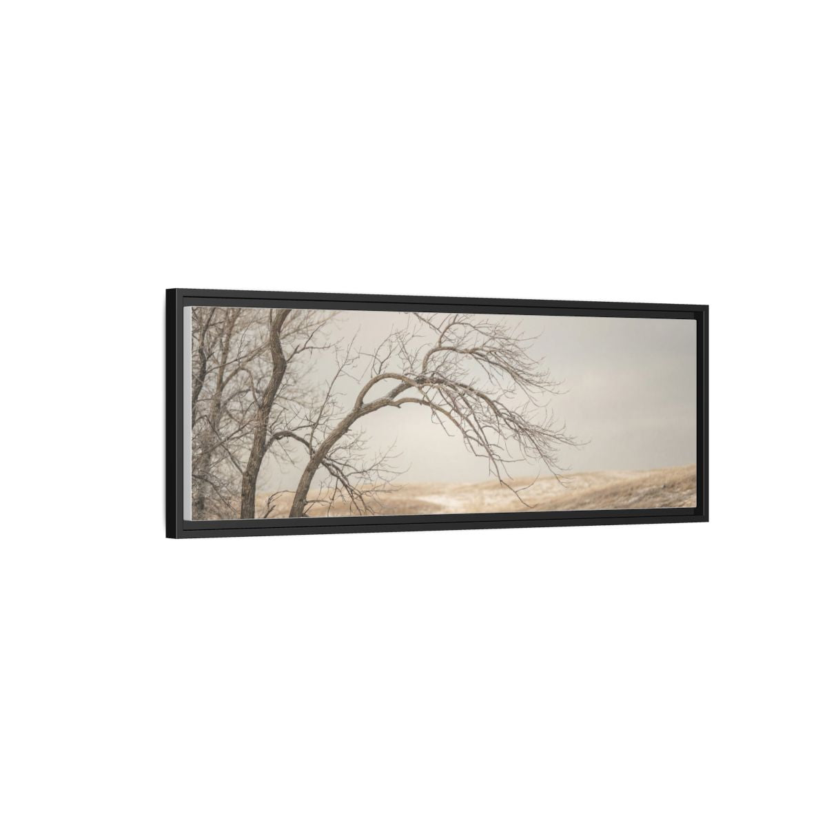 Framed Canvas Art - Minimalist Winter — Black / 1.25"