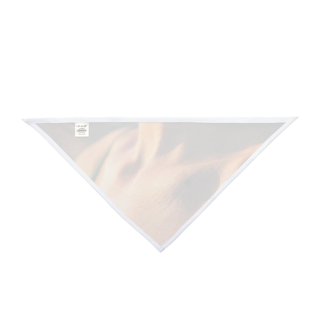 Pet Bandana - Emerald Sun Companion