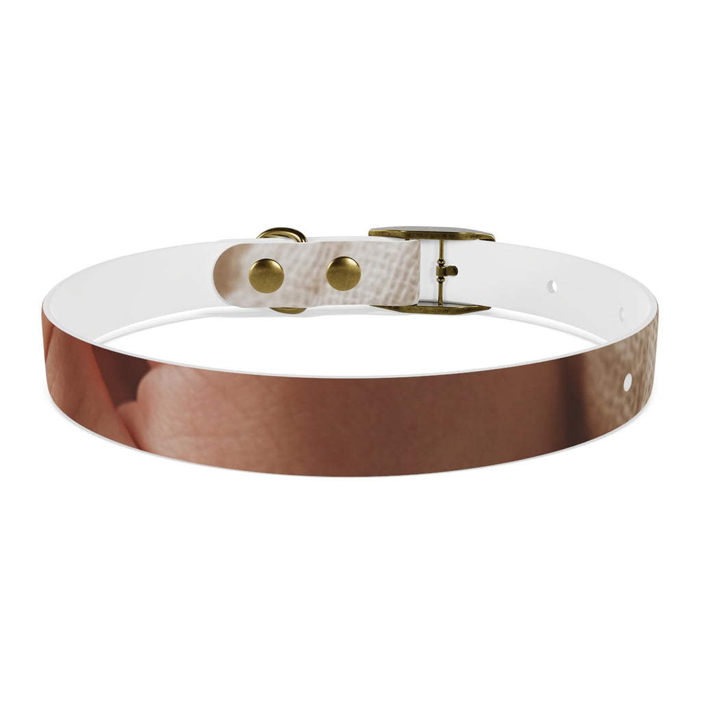 Dog Collar - Earth Toned Pet Style