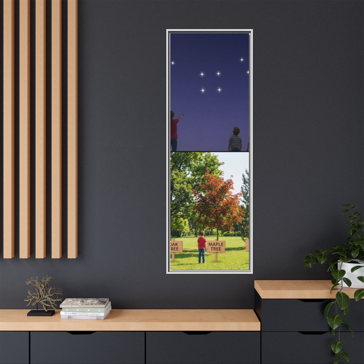 Framed Matte Canvas - Discovery — White / 1.25"