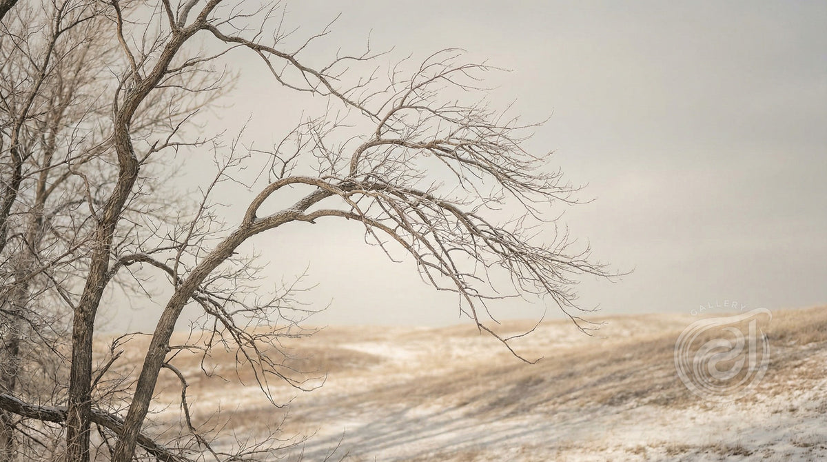 Winter Branch Solitude Art Print | Echovira