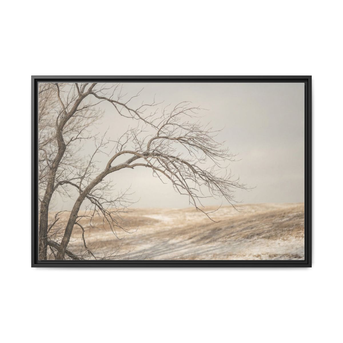 Framed Canvas Art - Minimalist Winter — Black / 1.25"